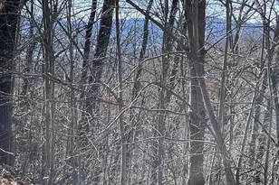 Lot 29J Ash Branch Rd, Hayesville, NC 28904 - Photo 1