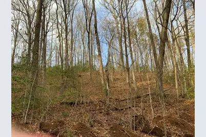 Lot 8 Ivy Log Road, Murphy, NC 28906 - Photo 2