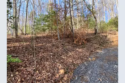 Lot 3 Ivy Log Road, Murphy, NC 28906 - Photo 6