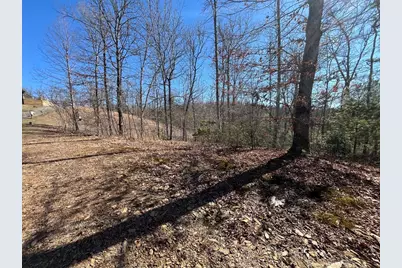 17 Fish Hawk Ridge, Murphy, NC 28906 - Photo 4