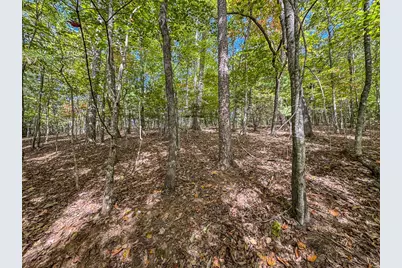0 Wolf Print, Murphy, NC 28906 - Photo 16