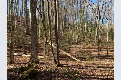 Tbd Collett Wood Cove, Andrews, NC 28901 - Photo 4