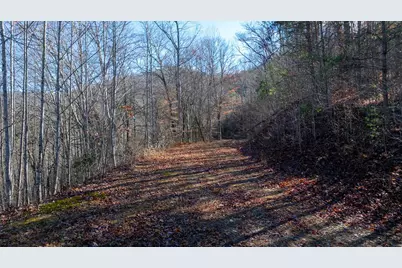 1-3 Santeetlah Heights, Robbinsville, NC 28771 - Photo 2