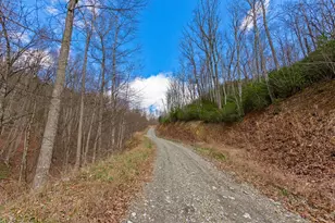 57 Eagles Nest Trail, Murphy, NC 28906 - Photo 10