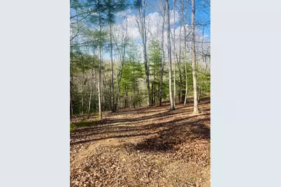00 Ford Lane, Murphy, NC 28906 - Photo 4