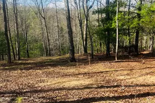 00 Ford Ln, Murphy, NC 28906 - Photo 1