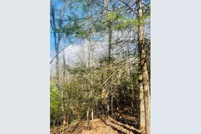 00 Ford Lane, Murphy, NC 28906 - Photo 8