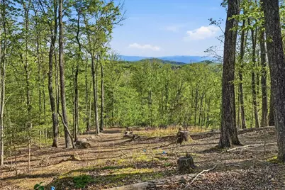 194 Quiet Woods Trail, Murphy, NC 28906 - Photo 44