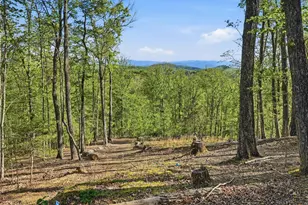 194 Quiet Woods Trail, Murphy, NC 28906 - Photo 44