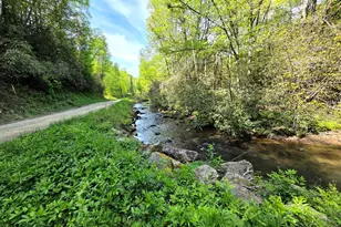 795 Porterfield Gap Rd, Robbinsville, NC 28771 - Photo 62