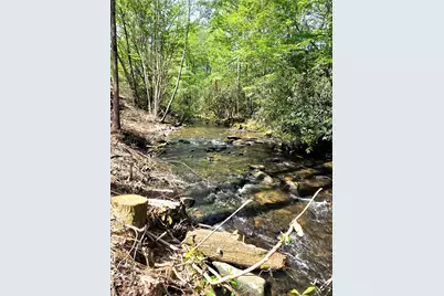 795 Porterfield Gap Road, Robbinsville, NC 28771 - Photo 68