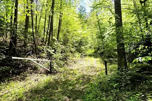 795 Porterfield Gap Rd, Robbinsville, NC 28771 - Photo 56