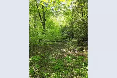 795 Porterfield Gap Road, Robbinsville, NC 28771 - Photo 54