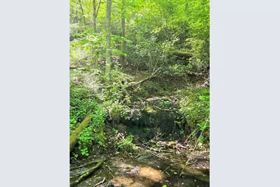 795 Porterfield Gap Road, Robbinsville, NC 28771 - Photo 46