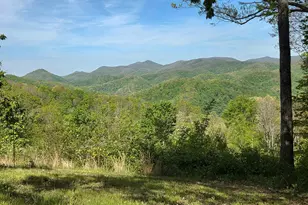 795 Porterfield Gap Rd, Robbinsville, NC 28771 - Photo 28