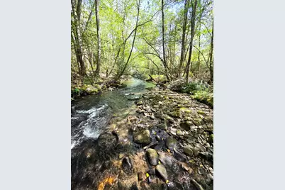795 Porterfield Gap Road, Robbinsville, NC 28771 - Photo 8