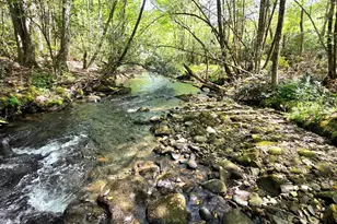 795 Porterfield Gap Rd, Robbinsville, NC 28771 - Photo 8