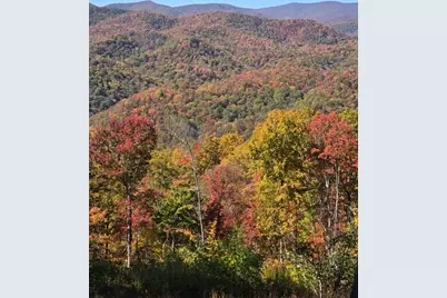 795 Porterfield Gap Road, Robbinsville, NC 28771 - Photo 84