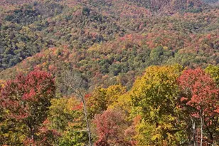 795 Porterfield Gap Rd, Robbinsville, NC 28771 - Photo 84
