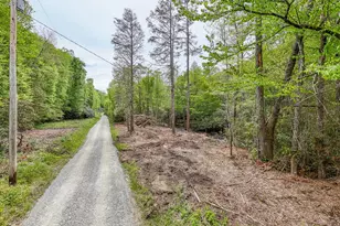 795 Porterfield Gap Rd, Robbinsville, NC 28771 - Photo 96