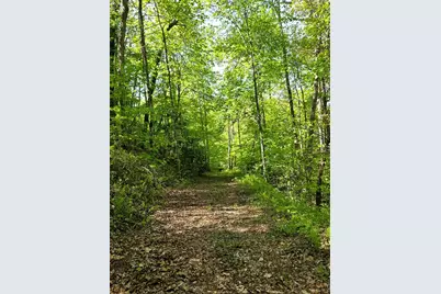 795 Porterfield Gap Road, Robbinsville, NC 28771 - Photo 44