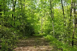 795 Porterfield Gap Rd, Robbinsville, NC 28771 - Photo 44