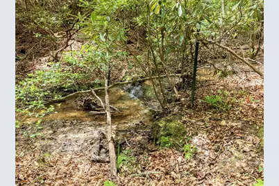 277 Clay Durrett Road, Murphy, NC 28906 - Photo 68