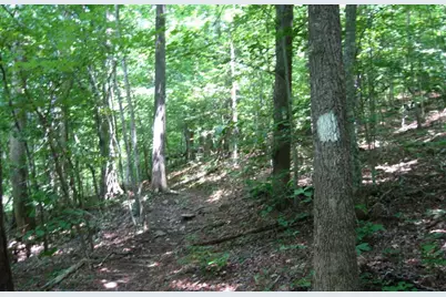 3.25 Ac Wilscott Mountain Drive, Murphy, NC 28906 - Photo 1