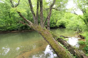 130 Ivy Ln, Murphy, NC 28906 - Photo 4