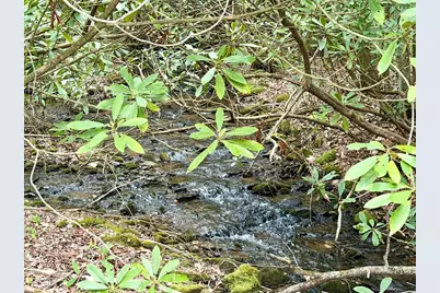 Lot 11& 15 Warrior Way Road, Andrews, NC 28781 - Photo 6