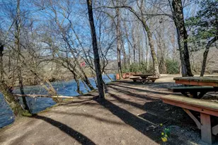 515 Jasmine Dr, Marble, NC 28906 - Photo 88