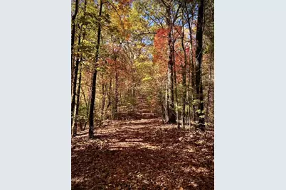 224 Pine Bough Road, Murphy, NC 28906 - Photo 18