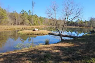 22 Hudson Springs Ln, Murphy, NC 28906 - Photo 30