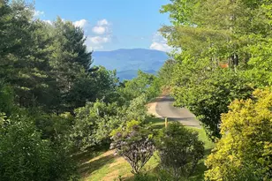 750 Double Springs Dr, Almond, NC 28702 - Photo 98