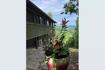 354 Deals Gap, Robbinsville, NC 28771 - Photo 4