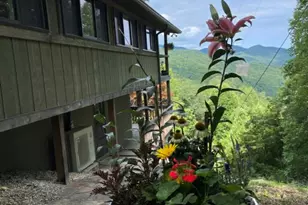 354 Deals Gap, Robbinsville, NC 28771 - Photo 4
