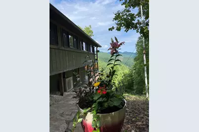 354 Deals Gap, Robbinsville, NC 28771 - Photo 52