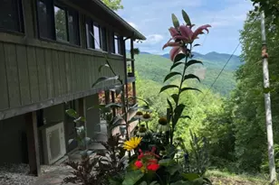 354 Deals Gap, Robbinsville, NC 28771 - Photo 52