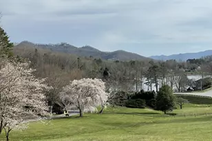 193 Mountain Harbour Dr, Hayesville, NC 28904 - Photo 66