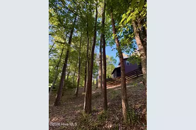 250 Hickory Woods Trail, Murphy, NC 28906 - Photo 22