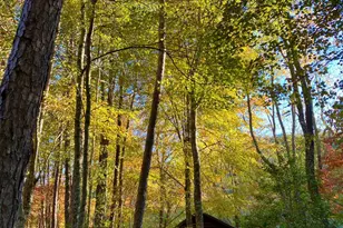 250 Hickory Woods Trail, Murphy, NC 28906 - Photo 6