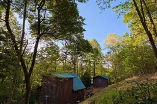 250 Hickory Woods Trail, Murphy, NC 28906 - Photo 22