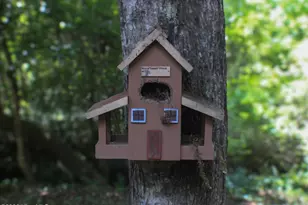 250 Hickory Woods Trail, Murphy, NC 28906 - Photo 42