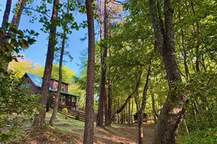 250 Hickory Woods Trail, Murphy, NC 28906 - Photo 26