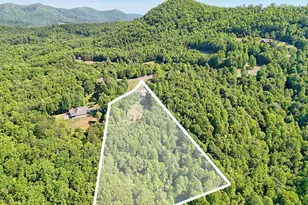 41 Elm Ct, Murphy, NC 28906 - Photo 2