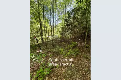 675 Ed Graves Road, Murphy, NC 28906 - Photo 32