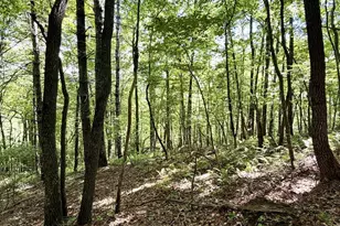 675 Ed Graves Rd, Murphy, NC 28906 - Photo 1