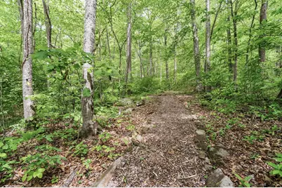255 Stoney Brook Trail, Hayesville, NC 28904 - Photo 48