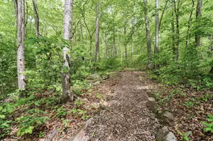 255 Stoney Brook Trail, Hayesville, NC 28904 - Photo 48