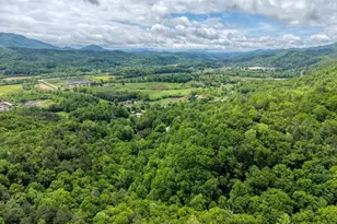 477 Little Snowbird Trl, Marble, NC 28905 - Photo 46
